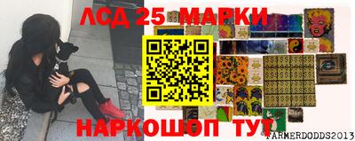 дмт Кулебаки