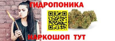spice Кунгур