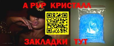 spice Кунгур