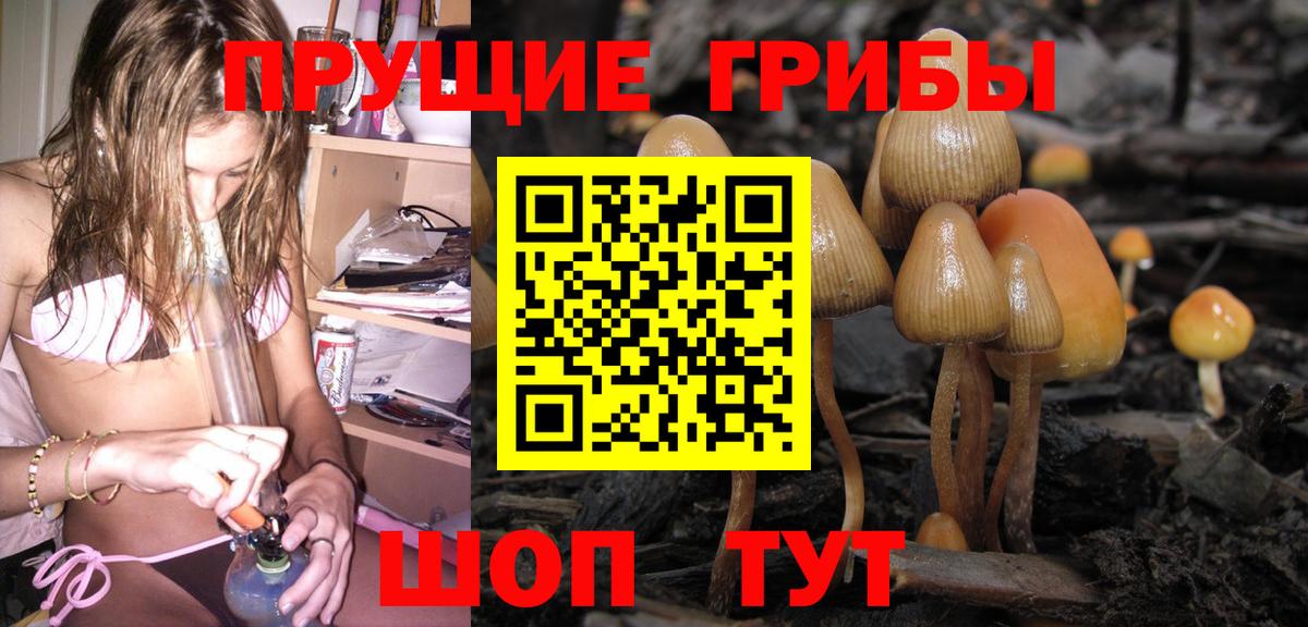 Псилоцибиновые грибы Magic Shrooms Дубна