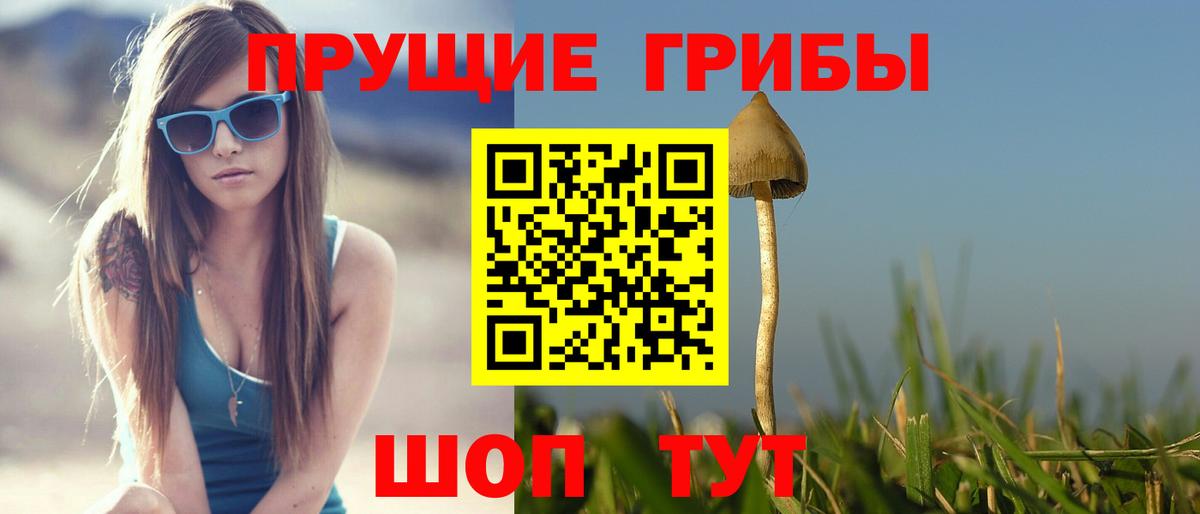 Галлюциногенные грибы Psilocybine cubensis  Вход с VPN  Дубна 